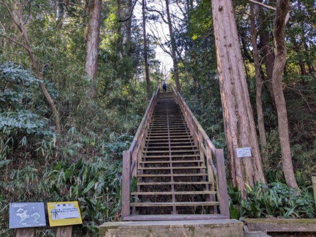 王禅寺ふるさと公園のフォトジェニックな感じの階段
