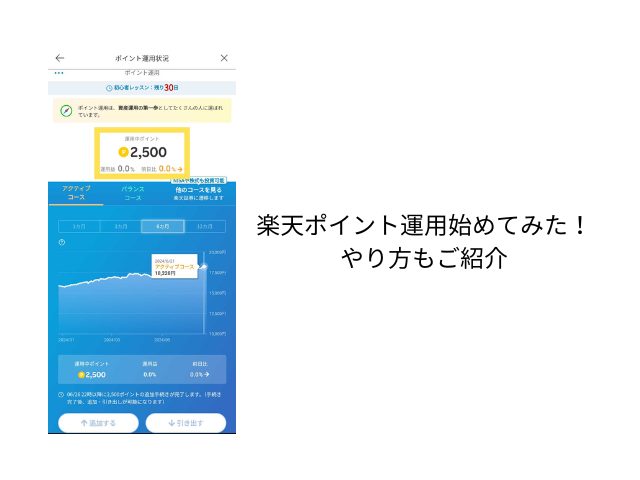 楽天ポイント運用始めてみた！やり方もご紹介